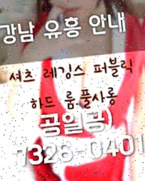 강남셔츠룸 강남달토 항시모집중 있게 TEAM 포옹 강남사라있네